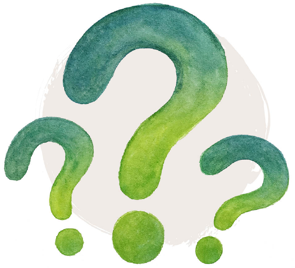 Three Basic Questions